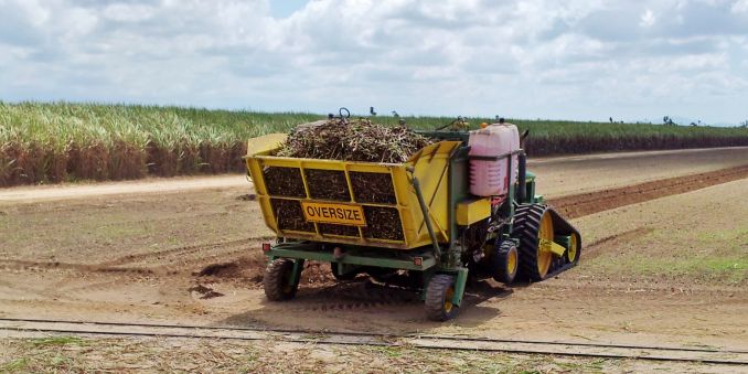 Working Maalacan Engineering Double Row Sugar Cane Billet Planter Working Maalacan Engineering Double Row Sugar Cane Billet Planter