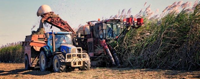 Cecchi Harvesting North Queensland Maalacan Engineering Sugar Cane Harvester Parts